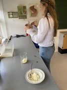 2x arbejder i SRO (studieretningsopgave) med mejeriproduktion i bioteknologi1