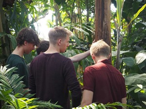 1.y besøgte Væksthusene i Botanisk Have og 