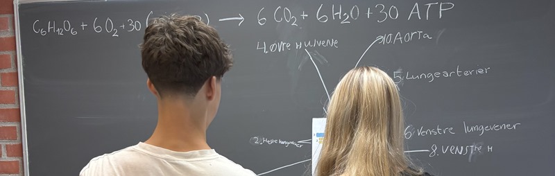 Beskåret til hjemmesiden (11)